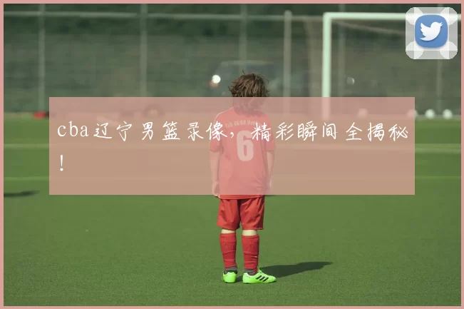 cba辽宁男篮录像，精彩瞬间全揭秘！