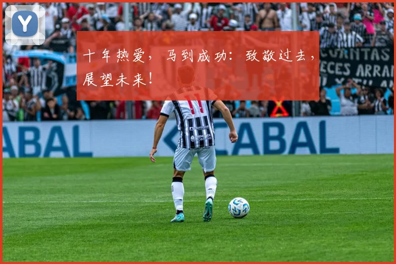 十年热爱，马到成功：致敬过去，展望未来！