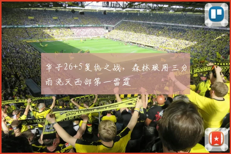 华子26+5复仇之战，森林狼用三分雨浇灭西部第一雷霆