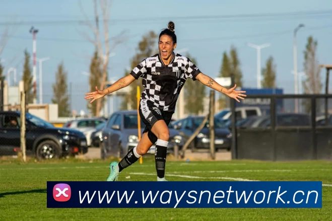 九游体育平台官网发展历程